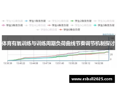 体育有氧训练与训练周期负荷曲线节奏调节机制探讨